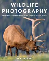 Wildlife Photography - 1 Dec 2017