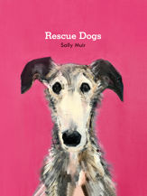 Rescue Dogs - 16 Feb 2023