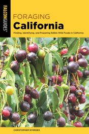 Foraging California - 22 Aug 2019