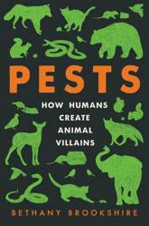 Pests - 6 Dec 2022