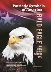Bald Eagle - 17 Nov 2014