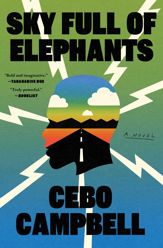 Sky Full of Elephants - 10 Sep 2024
