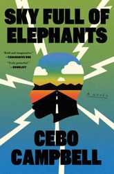 Sky Full of Elephants - 10 Sep 2024