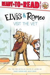 Elvis & Romeo Visit the Vet - 26 Aug 2025