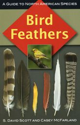 Bird Feathers - 3 Sep 2010