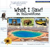 What I Saw in Yellowstone - 21 Mar 2023