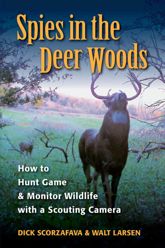 Spies in the Deer Woods - 7 Aug 2008