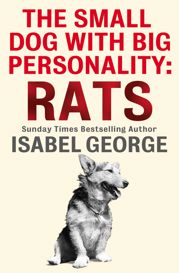 The Small Dog With A Big Personality: Rats - 8 Mar 2012