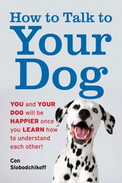 How to Talk to Your Dog - 6 Aug 2024