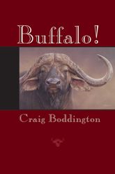 Buffalo! - 1 Jan 2005