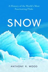 Snow - 8 Dec 2020