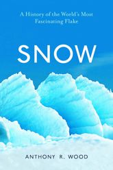 Snow - 8 Dec 2020