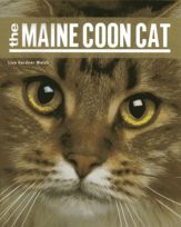 The Maine Coon Cat - 7 Sep 2013