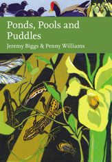 Ponds, Pools and Puddles - 28 Mar 2024