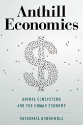 Anthill Economics - 5 Mar 2021