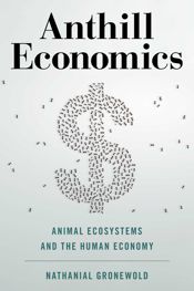 Anthill Economics - 5 Mar 2021