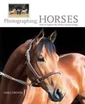 Photographing Horses - 1 Sep 2006
