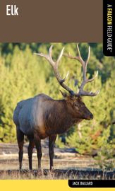 Elk - 1 Feb 2012