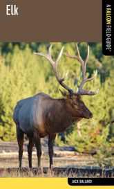 Elk - 1 Feb 2012