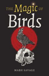 The Magic of Birds - 9 Dec 2025