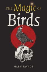 The Magic of Birds - 9 Dec 2025