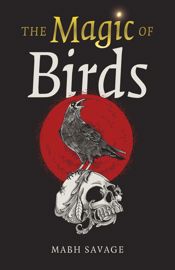 The Magic of Birds - 9 Dec 2025
