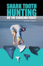 Shark Tooth Hunting on the Carolina Coast - 10 Jun 2015