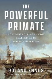 The Powerful Primate - 17 Feb 2026