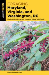 Foraging Maryland, Virginia, and Washington, DC - 1 Sep 2022