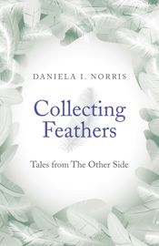 Collecting Feathers - 28 Nov 2014