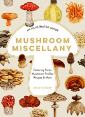 Mushroom Miscellany - 10 Oct 2024