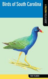 Birds of South Carolina - 18 Dec 2012
