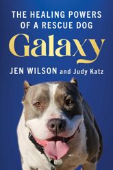 Galaxy - 3 Feb 2026