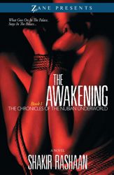 The Awakening - 3 Dec 2013