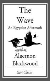 The Wave: An Egyptian Aftermath - 1 Jan 2014