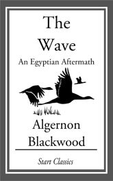 The Wave: An Egyptian Aftermath - 1 Jan 2014