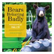 Bears Behaving Badly - 7 Jun 2016