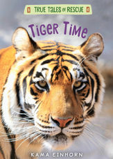 Tiger Time - 29 Oct 2019