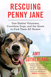 Rescuing Penny Jane - 21 Feb 2017