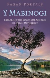 Pagan Portals: Y Mabinogi - 24 Jun 2025