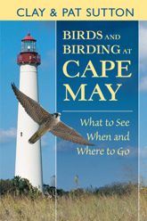 Birds and Birding at Cape May - 15 Dec 2006