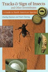 Tracks & Sign of Insects and Other Invertebrates - 15 Mar 2010