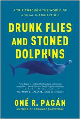 Drunk Flies and Stoned Dolphins - 16 Nov 2021