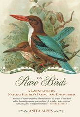 On Rare Birds - 3 Sep 2013