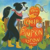 How to Help a Pumpkin Grow - 20 Jul 2021