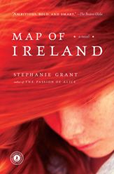 Map of Ireland - 4 Mar 2008