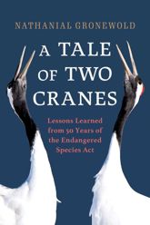 Tale of Two Cranes - 8 Sep 2023