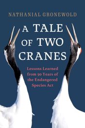 Tale of Two Cranes - 8 Sep 2023