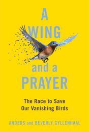 A Wing and a Prayer - 18 Apr 2023