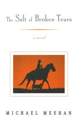 The Salt Of Broken Tears: A Novel - 18 May 2001
